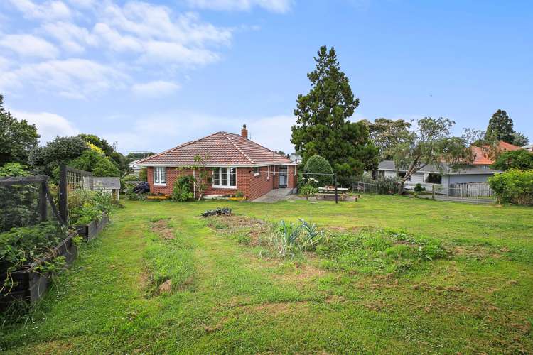 18 Hall Street Kihikihi_21