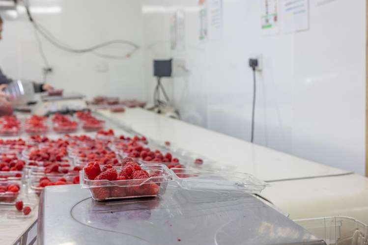 505 State Highway 2 Opaki_8