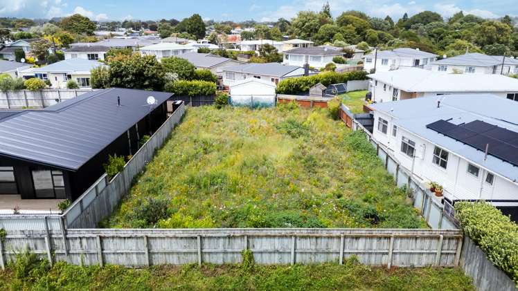 232D Carrington Street Vogeltown_0