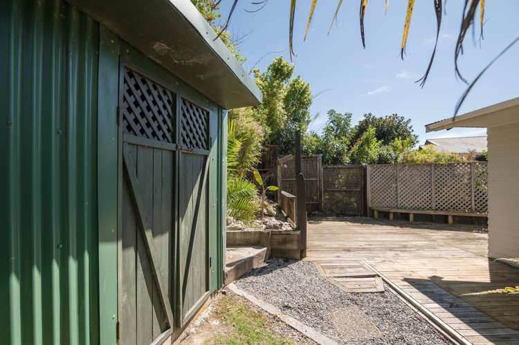 73 Torlesse Street Enner Glynn_5