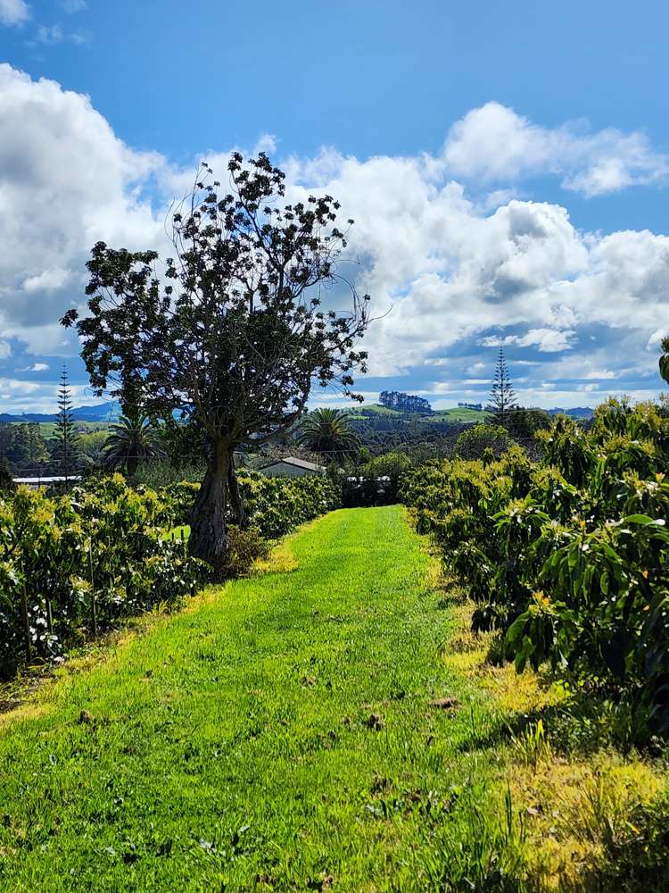 493 Mangakahia Road Maungatapere_1