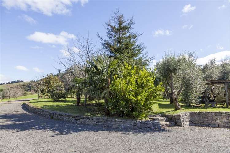 77 Packtrack Road Thames_7