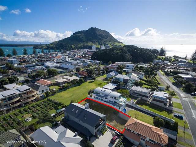 24b Rita Street Mount Maunganui_2