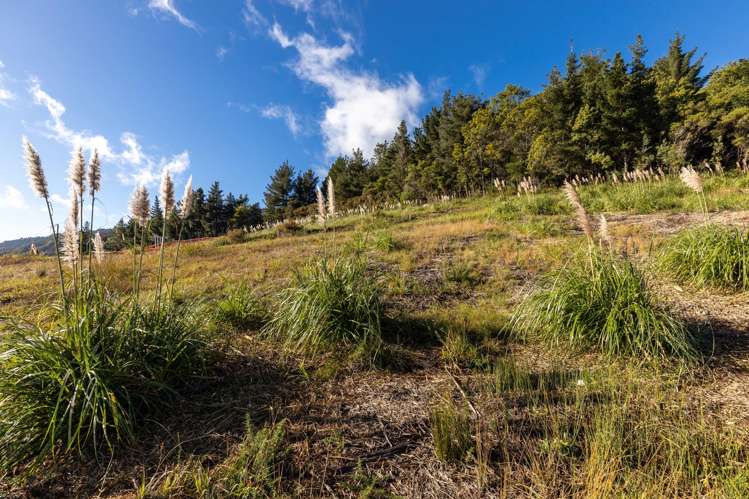 6 Raukura Rise Picton_10