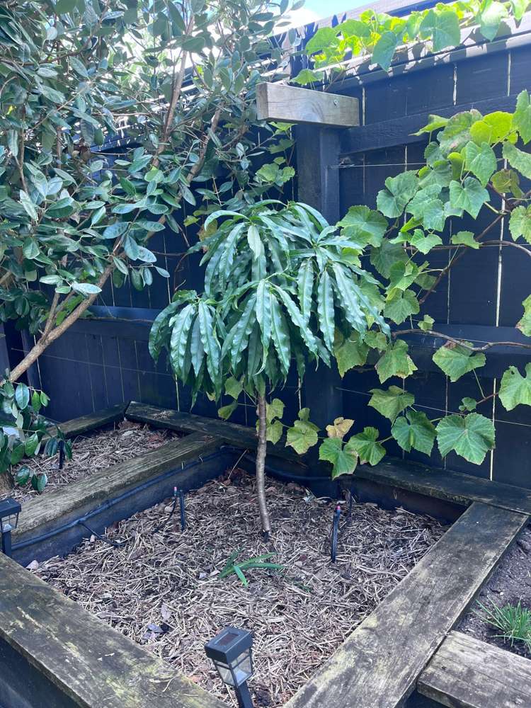 209 Millwater Parkway Silverdale_38