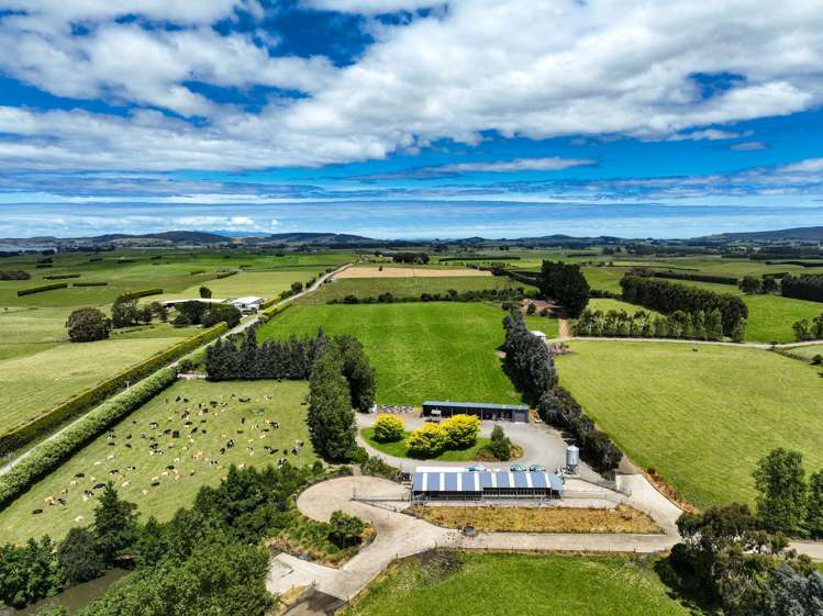 318 Waipango Ermedale Road Gummies Bush_9