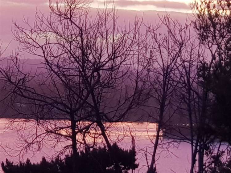 17 Chatham Avenue Paremoremo_30