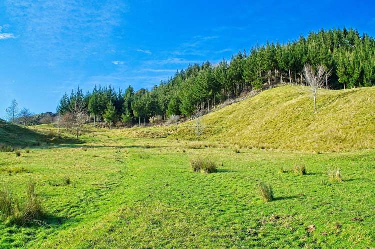 Ormond Valley Road Ormond_13