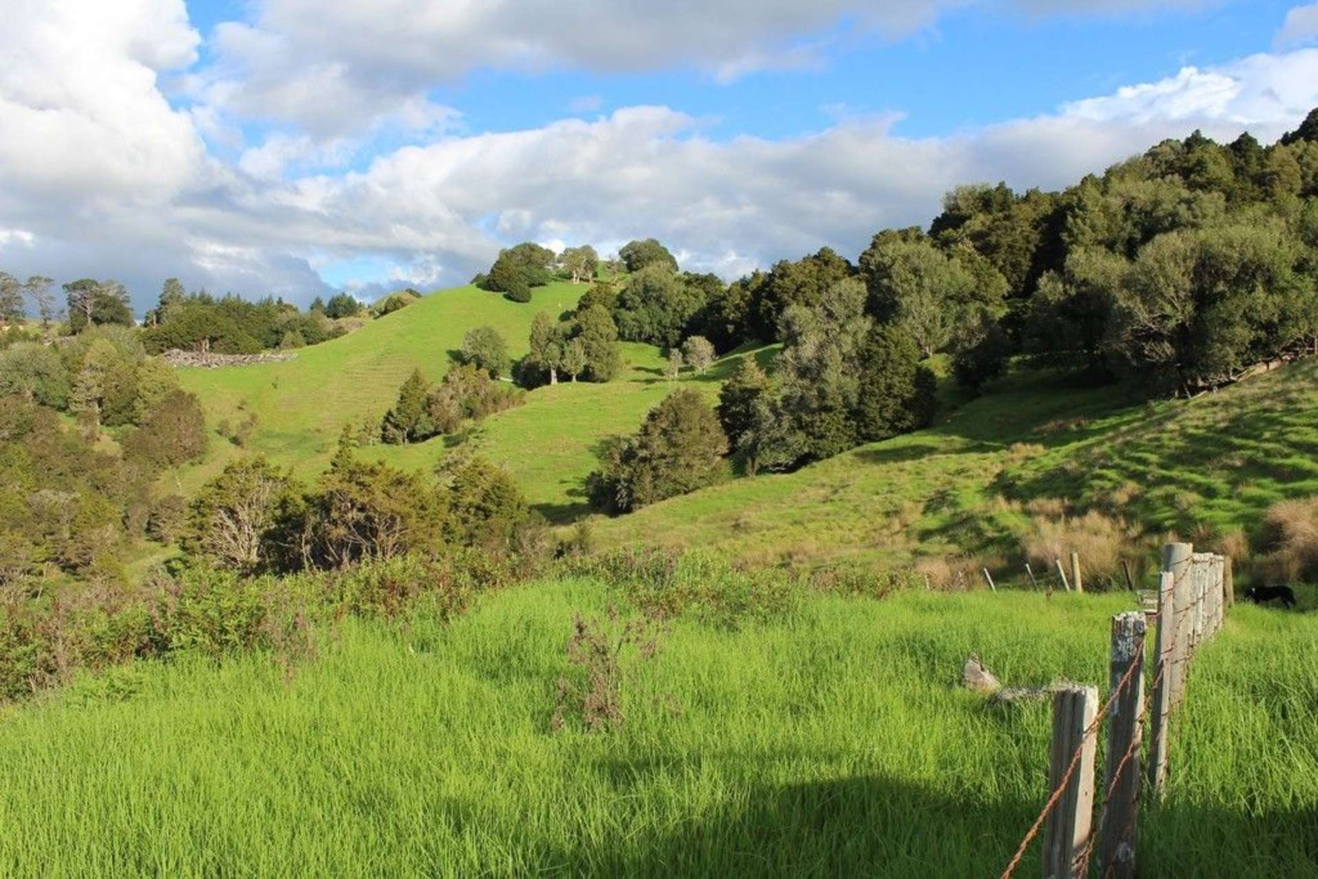 Pipiwai Road Ruatangata_0