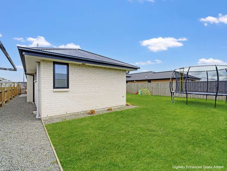 8 Higgins Street Ravenswood_21