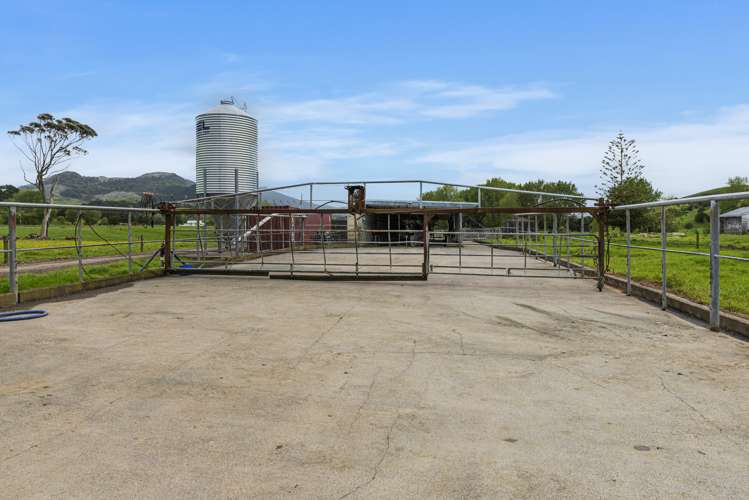 1371 Waihue Road Dargaville Surrounds_6