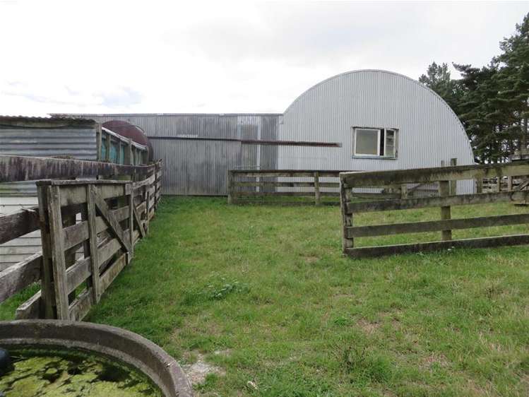 Ovens Road Matakohe_19