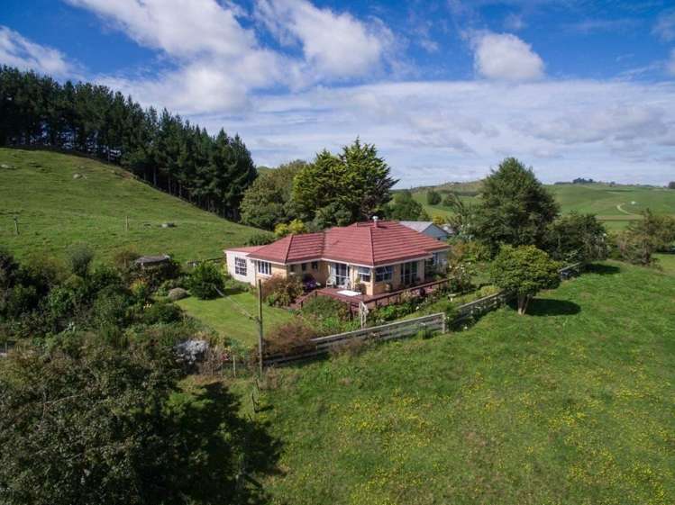 244 Whawharua Road Otorohanga_4