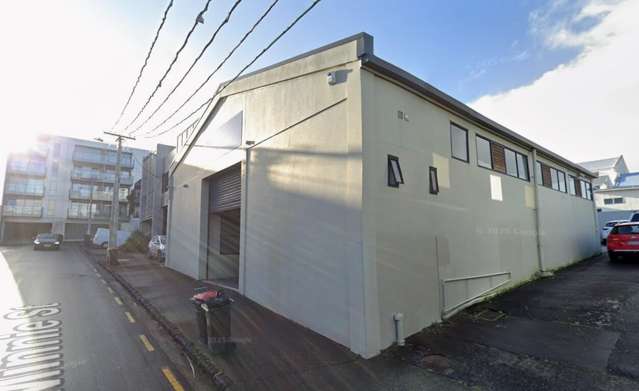 2 Minnie Street Eden Terrace_3