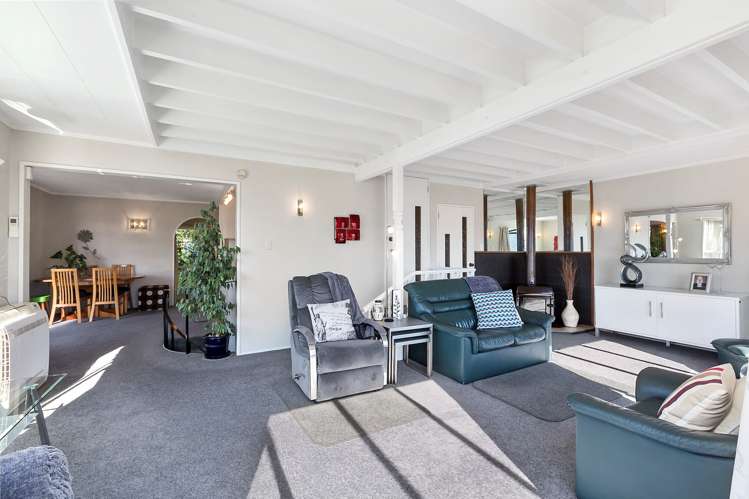 217 Larnach Road Waverley_7