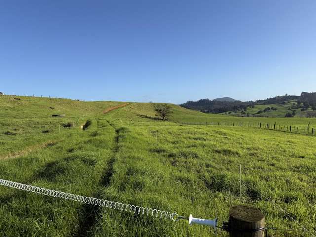 Lot 3 Maungakaramea Road Maungakaramea_1