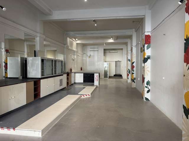 18 Hastings Street Napier South_4