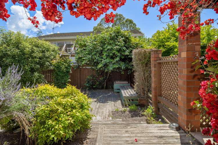 2 Solway Drive Witherlea_5