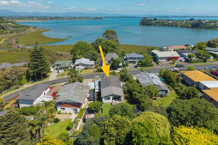 84 Princess Road Bellevue_22