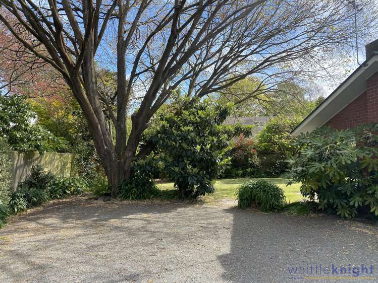 30a Wroxton Terrace Merivale_16