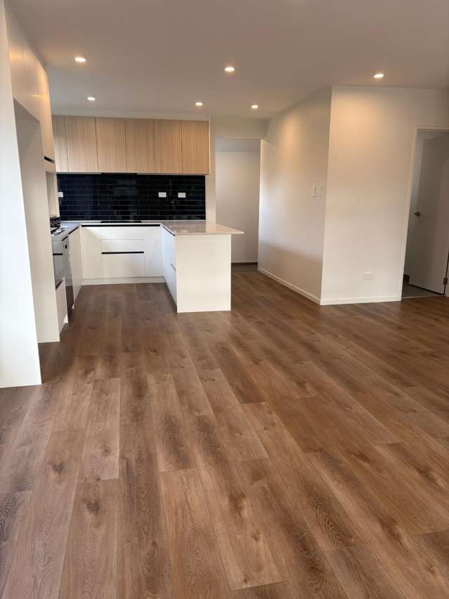  74 Salford Street Gore_1