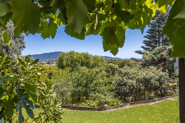 24 Campion Road Waikanae Beach_11