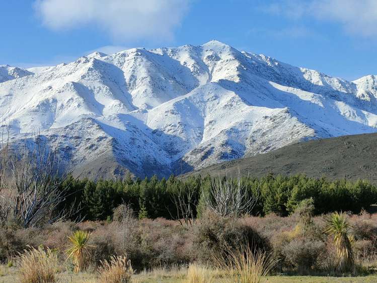 780 Falston Road Totara Peak_43