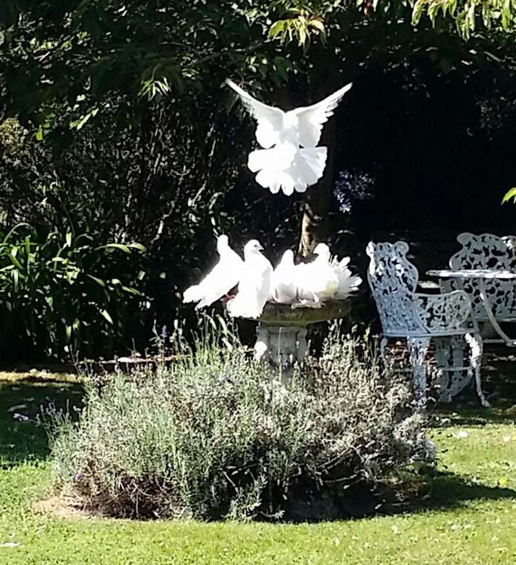 43 Queen Victoria Street Motueka_17