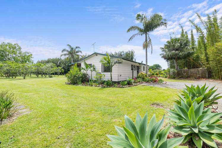 15 Insley Street Mangawhai_3