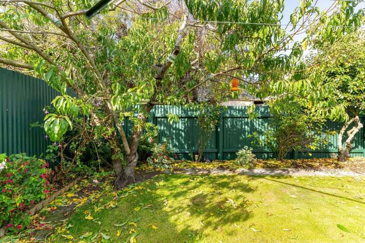 91 Oxford Street South Dunedin_19