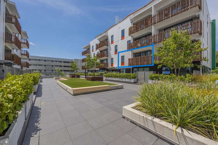 405/24 Library Lane Albany_1