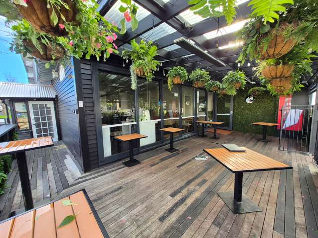 29 Crummer Road Ponsonby_1