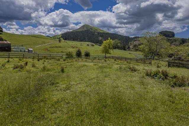 Lot 1/65 Kent Crescent (section) Waihi_2