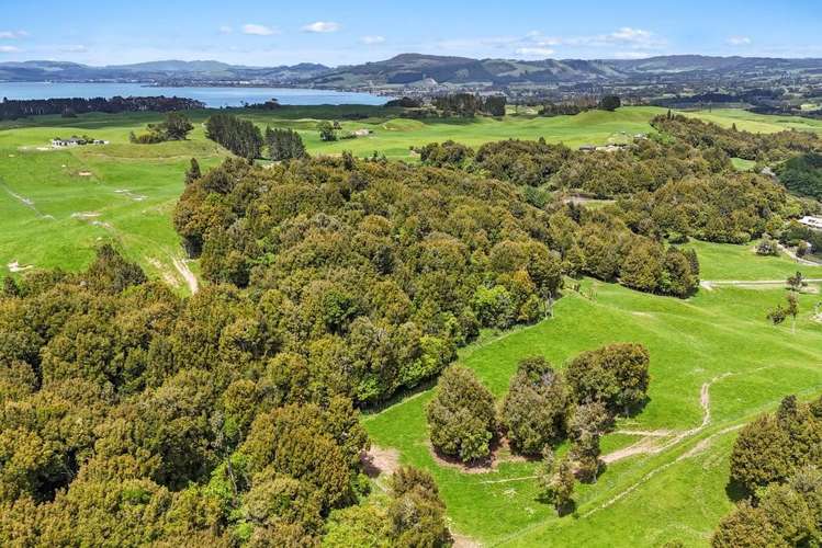 714 Te Waerenga Road (Lots 2 & 3)_0