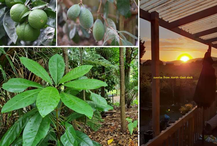 45 Gorge Road Maungaturoto_10