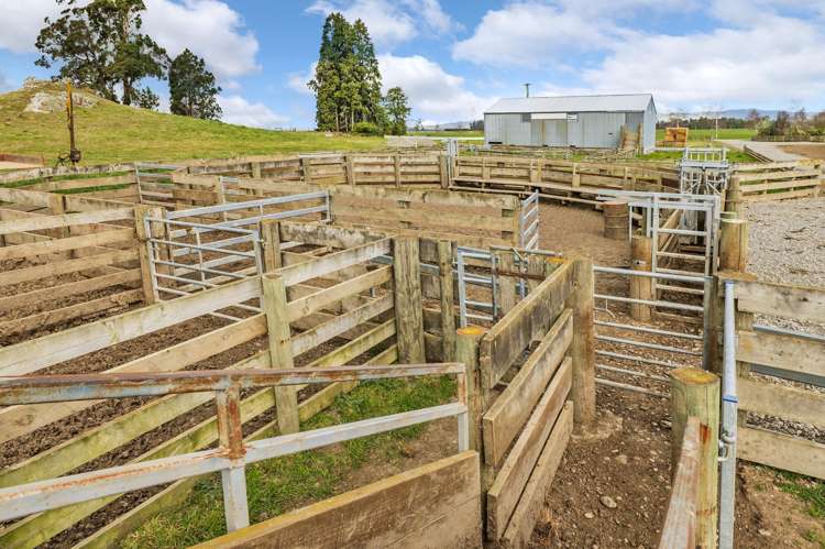 231 Keens Road Sheffield_16