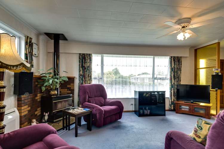 31 Plunket Street Tamatea_3