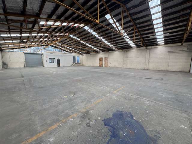 Neilson Street Onehunga_1
