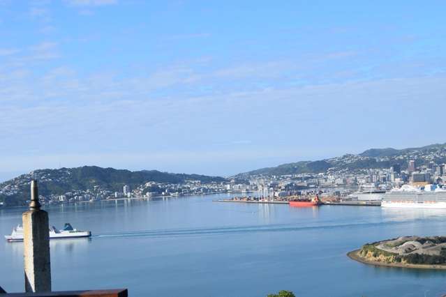 Sunny Athfield harbour view home