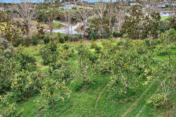 Lot 1/69a Vineyard Lane Mangawhai_13