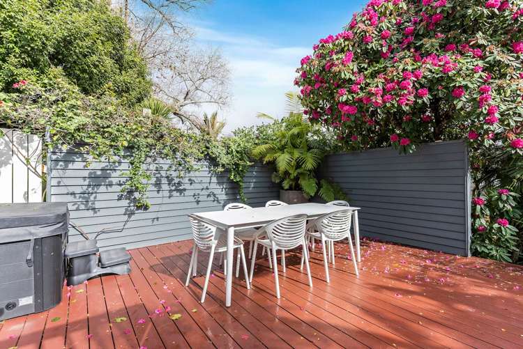 4 Ireland Street Freemans Bay_31