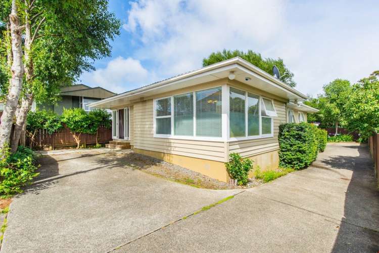 19a Kamara Road Glen Eden_0