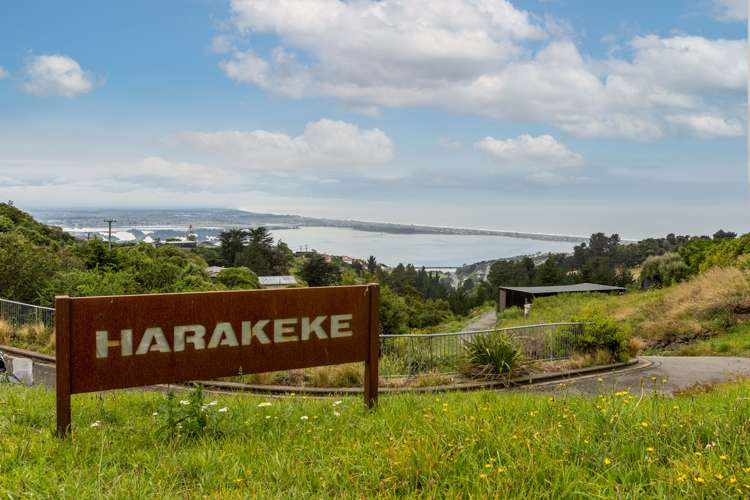 307a Mount Pleasant Road Mount Pleasant_9