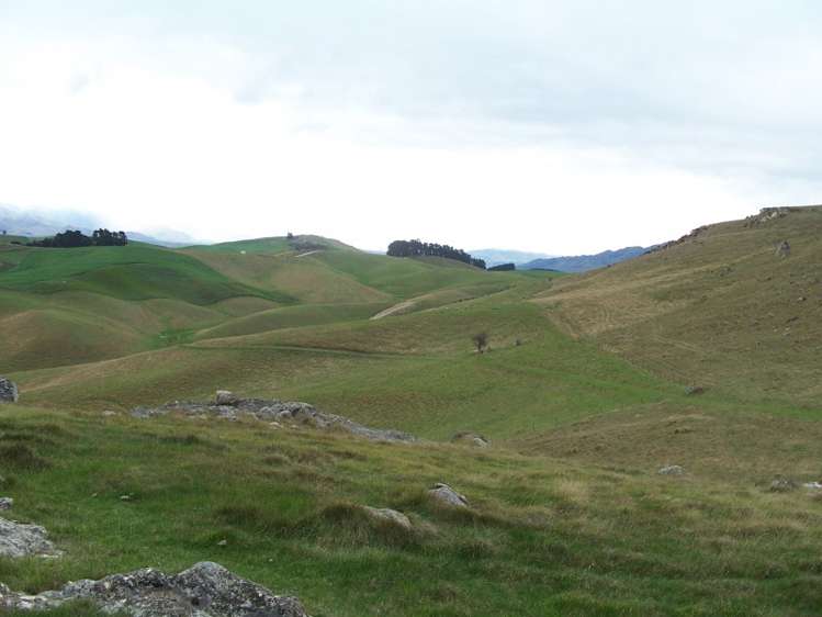 422 Earthquake Road Duntroon_2