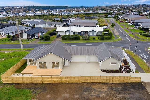 New and Beautiful Home & Income