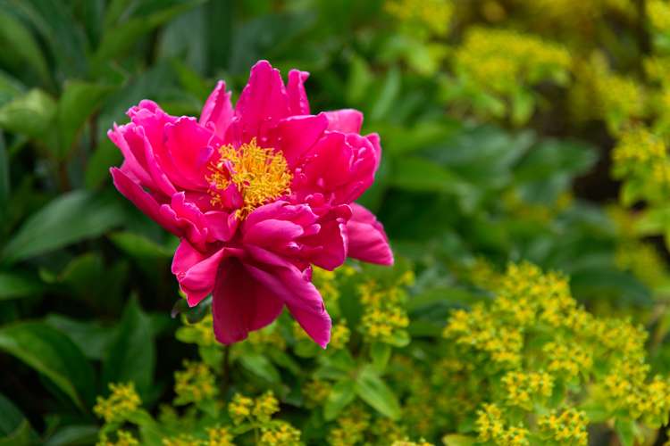 12 Dewe Avenue Feilding_25