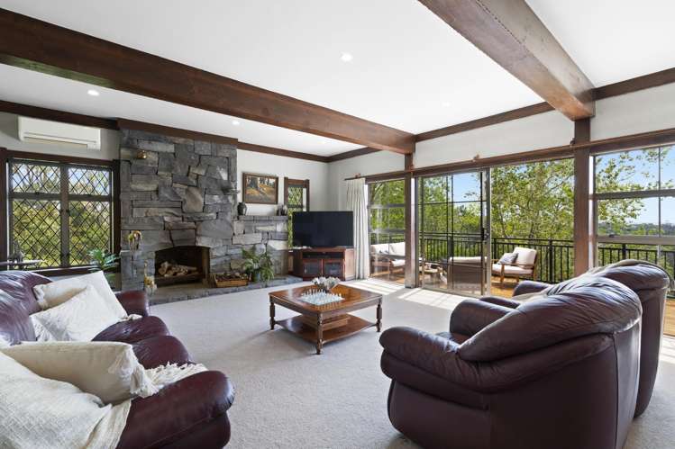 180 Ara-kotinga Whitford_7