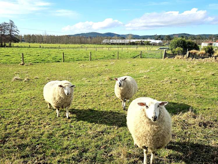 42 Clyde Terrace Kaitangata_29