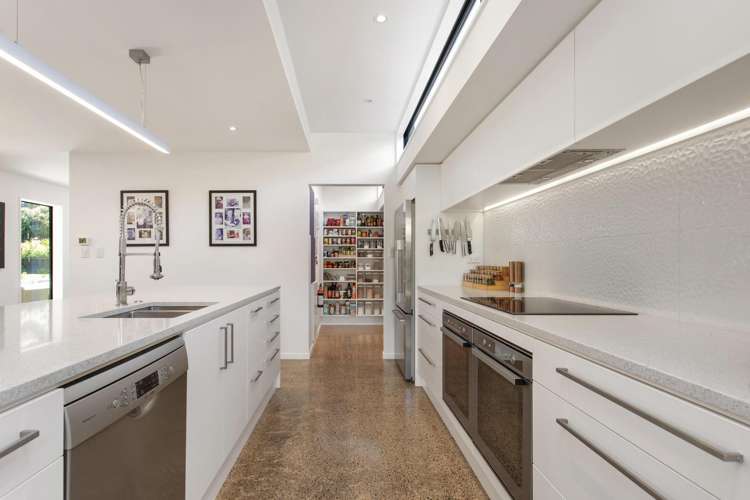 22a Darley Street Somerfield_5