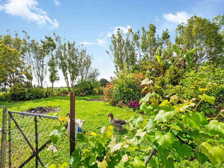 25 Tokiri Road Titoki_12